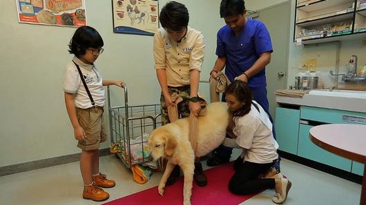 โรค(ร้าย)สามัญประจำบ้าน