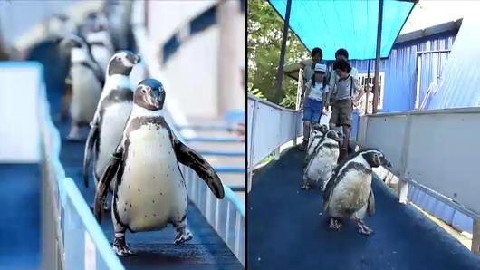 สวนสัตว์...พื้นที่อนุรักษ์