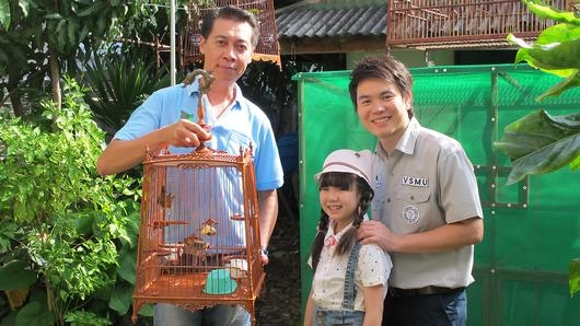 นก(กรง)หัวจุก