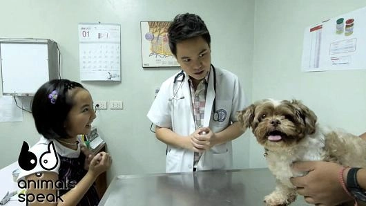เปิดห้องทำงานของสัตวแพทย์