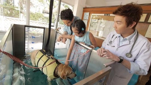 กายภาพเจ้าตูบหลังผ่าตัด