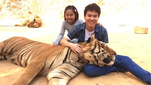 คนดี สู้เสือ