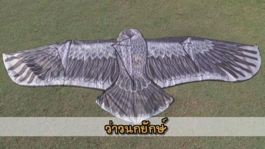 ว่าวยักษ์โต้ลม (Tag Team)