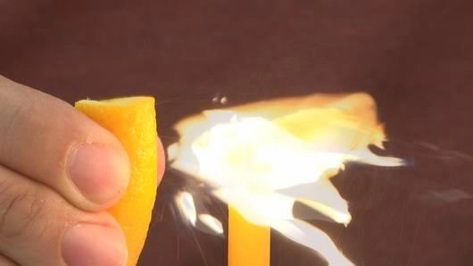 ส้มมหัศจรรย์ (Eureka)