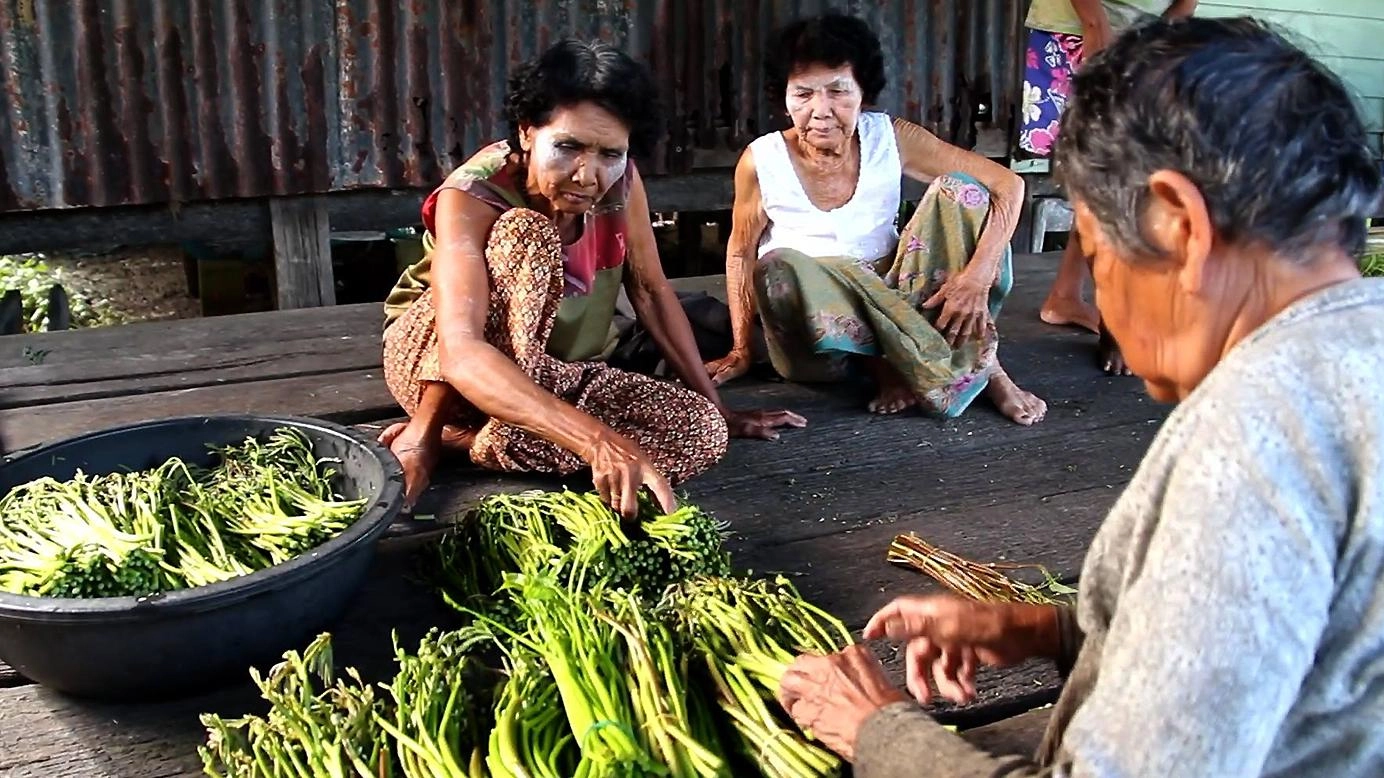 ธรรมชาติ+ชีวิต=ความสมดุล