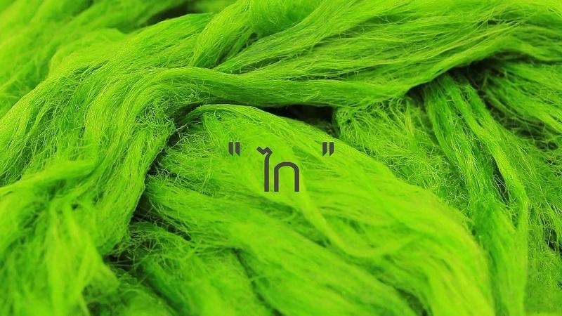 สายน้ำแห่งความผูกพัน บ้านหาดผาขน จ.น่าน