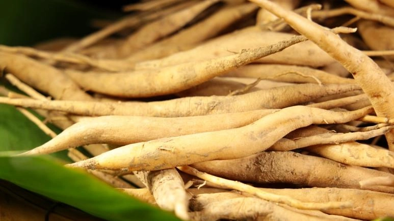 ตอนพิเศษ รากสามสิบ