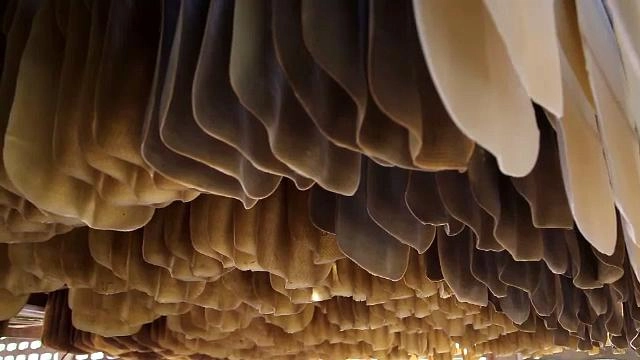 โลกของยาง...ไม่จบ