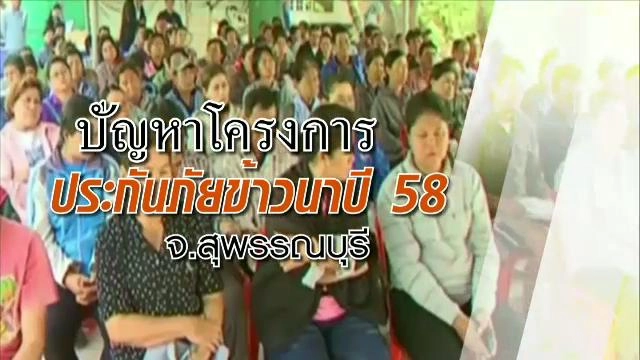 ปัญหาโครงการประกันภัยข้าวนา ปี 58 จ.สุพรรณบุรี