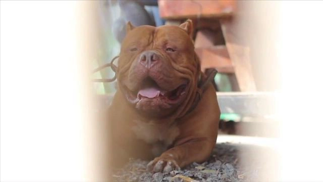 ประเด็นข่าว (17 ก.พ. 59)