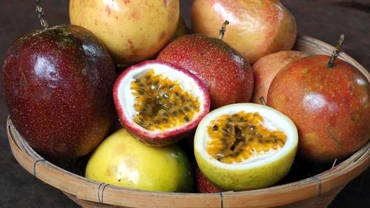 เสาวรส และผักดีกั้ง