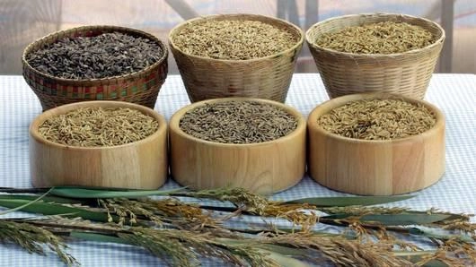 ข้าวฮาง ที่หมู่บ้านชาวภูไท