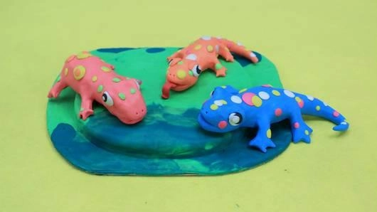 เจ้าตุ๊กแกหลากสี