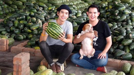 แตงโม...ลูกโต๊โต