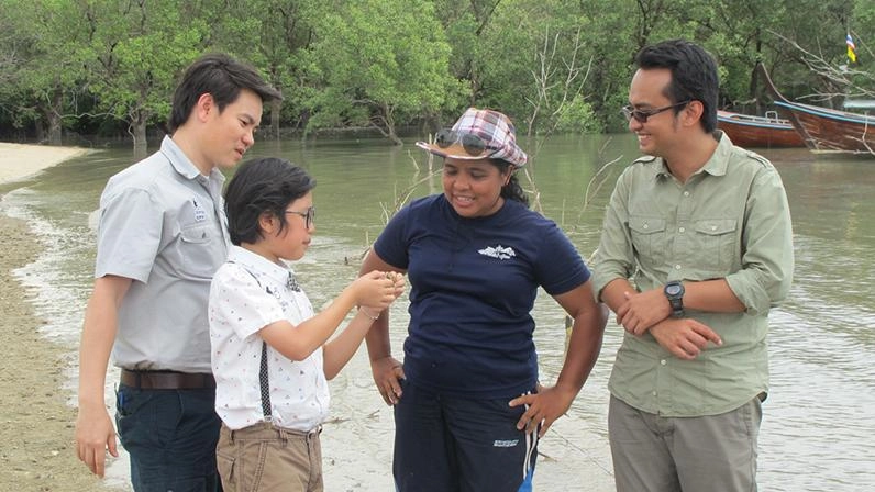 หลากชีวิตในป่าชายเลน