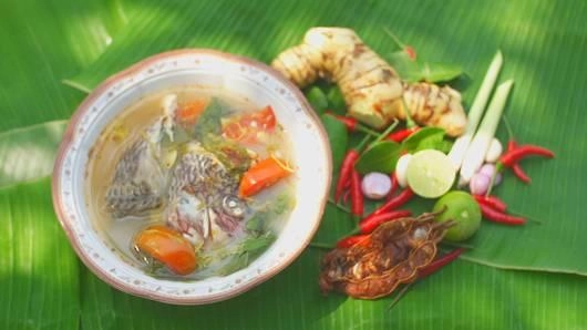 ประกาศนียบัตรต้นมะพร้าว