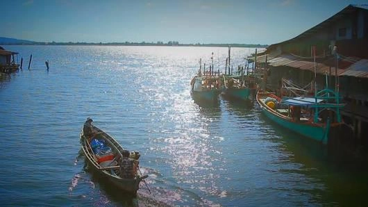 คืนปลาให้ปากพญา