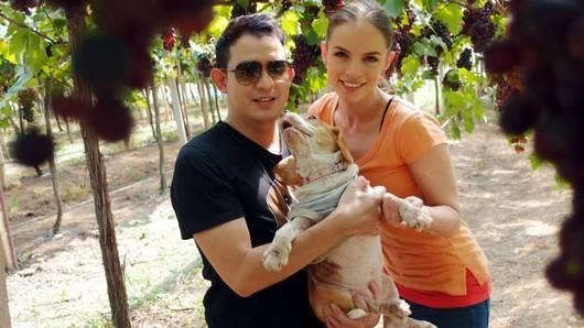 สาวชาวดัตช์ในไร่องุ่น