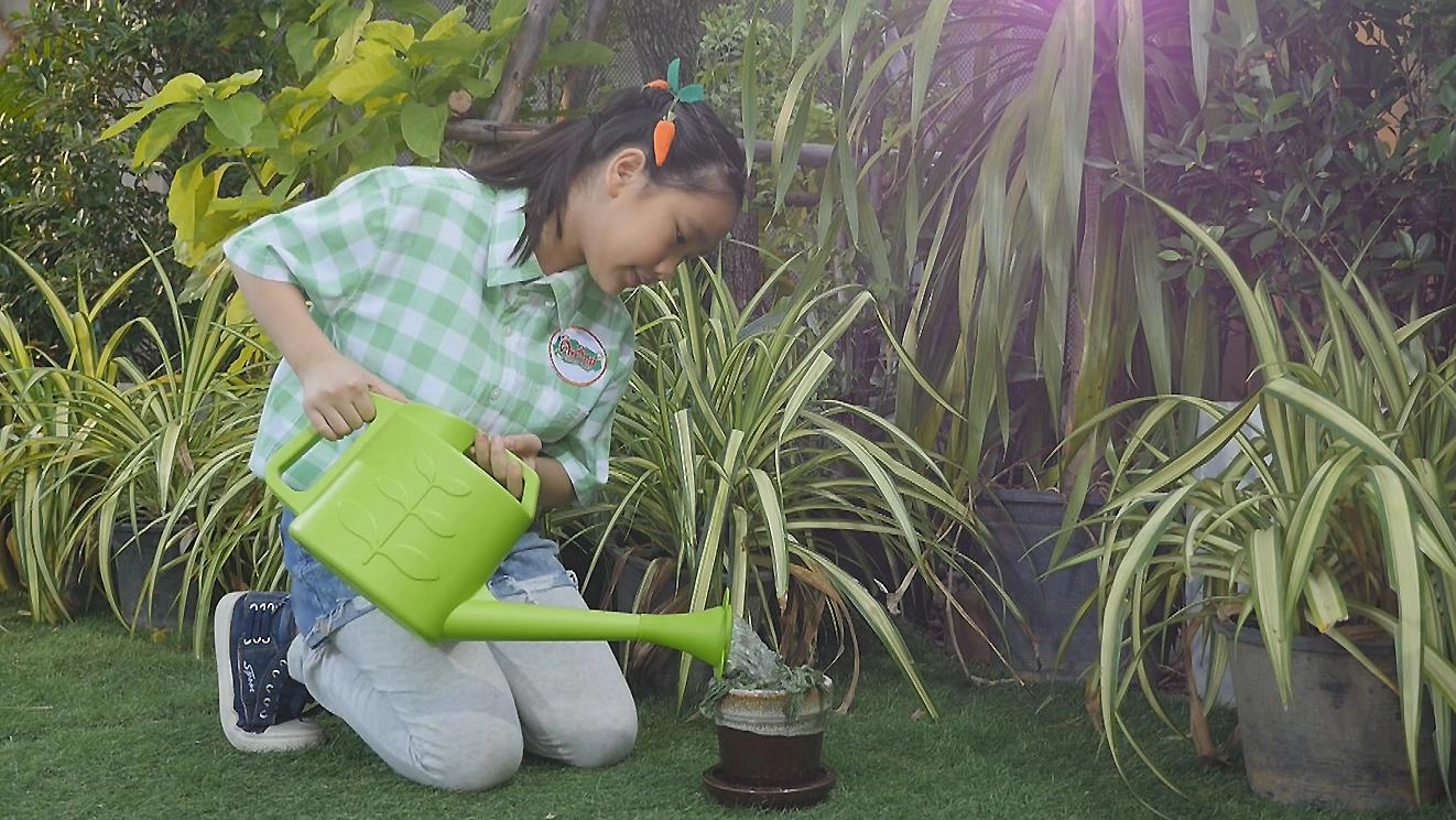 ต้นไม้ดูดน้ำ