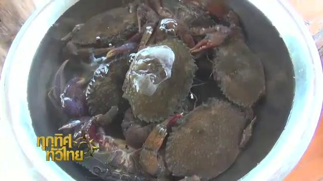 ประเด็นข่าว (18 ก.พ. 59)