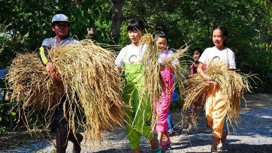 กินอยู่อย่างพอเพียง