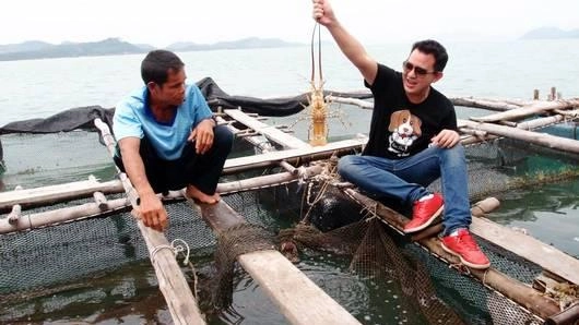 กุ้งมังกร