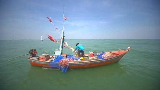 รักษ์ปลา รักษ์ทะเล