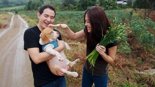 กุยช่ายผักมากสรรพคุณ