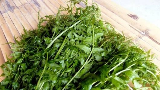 เมนูจากผักหงิกงอ แต่ขอบอกเลยว่าอร่อยจริง