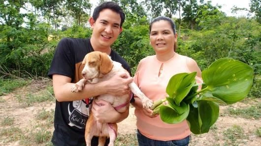 ผักตบชวา อาหารจานใหม่ที่คุณอาจไม่คาดคิด