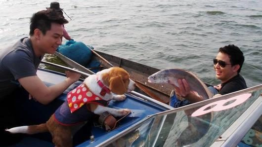 ปรุงเมนูเด็ดจากปลาม้ากับ “แชมป์ - ทีปกร วุฒิพิทยามงคล”