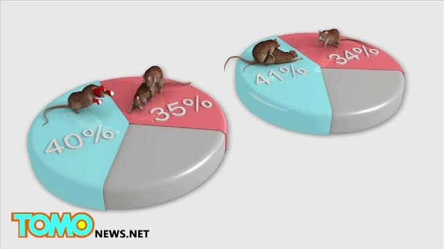 ​ประเด็นข่าว (23 ก.พ. 59)