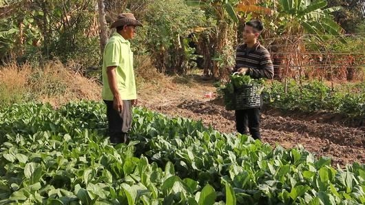 คลองน้ำไหล ชุมชนพลังงานทดแทน