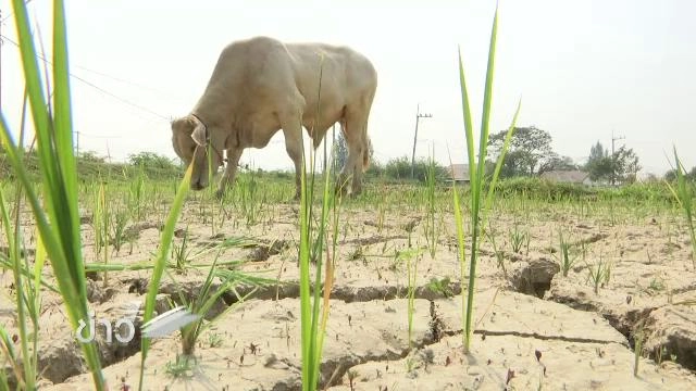 ​ประเด็นข่าว (25 ก.พ. 59)