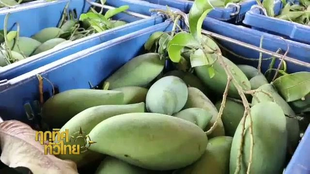 ประเด็นข่าว (25 ก.พ. 59)