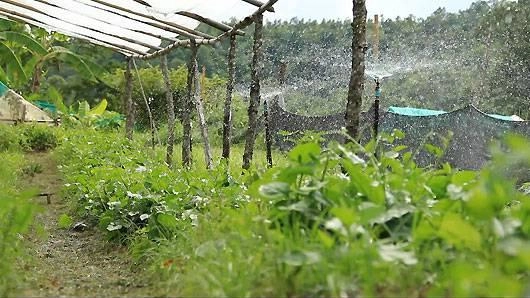 เมืองวิถีอินทรีย์