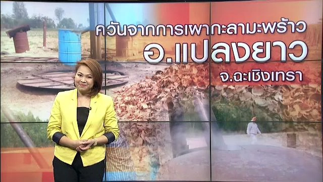 ควันจากการเผากะลามะพร้าว อ.แปลงยาว จ.ฉะเชิงเทรา