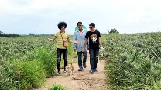 พล่ากุ้ง