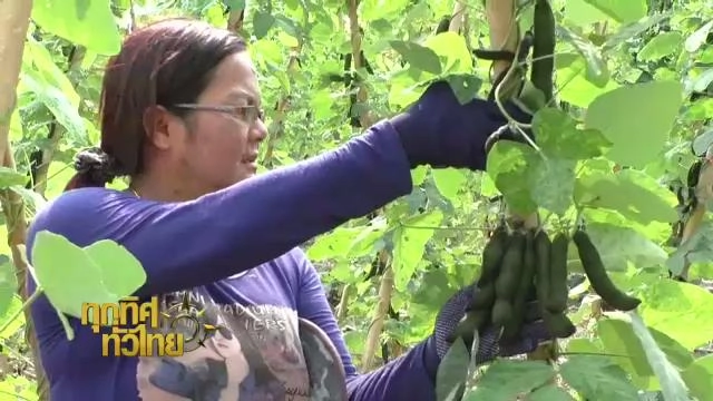 ประเด็นข่าว (26 ก.พ. 59)