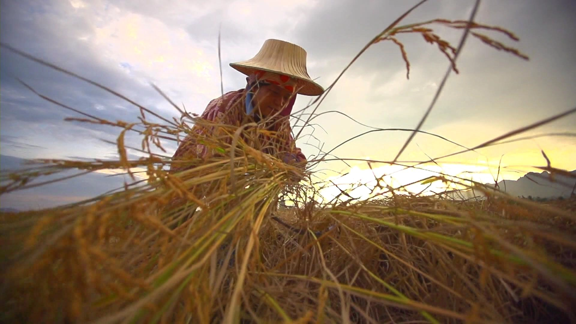 ประเทศไทยเบื้องต้น