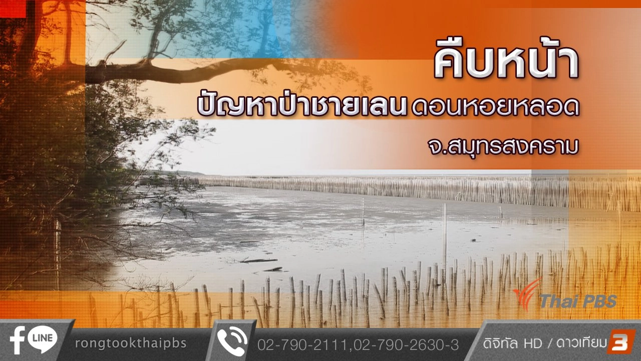 คืบหน้าปัญหาป่าชายเลนดอนหอยหลอด  จ.สมุทรสงคราม