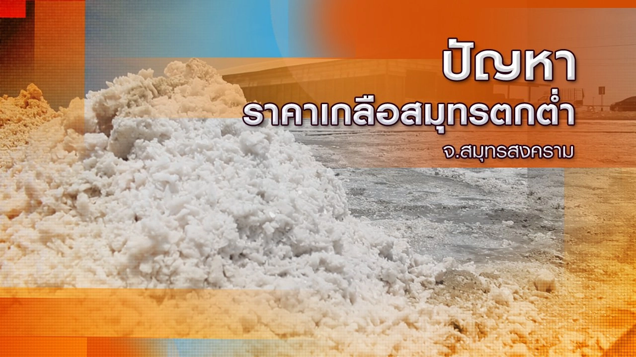 ปัญหาราคาเกลือสมุทรตกต่ำ จ.สมุทรสงคราม