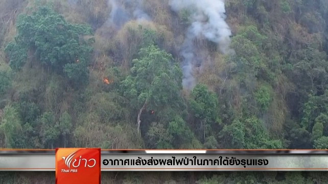 ประเด็นข่าว (11 พ.ค. 59)