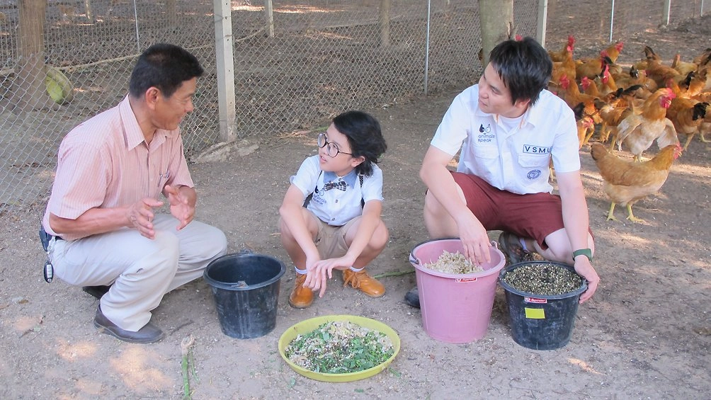 ไก่(พื้น-บ้าน) ตอน 2