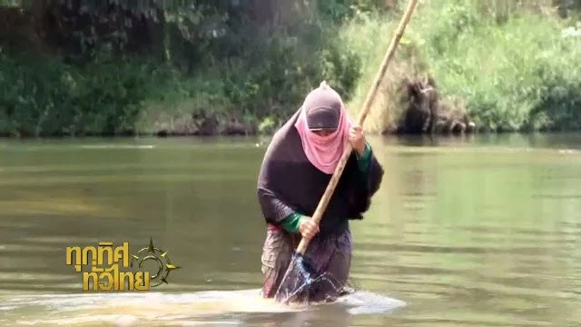 ประเด็นข่าว (13 พ.ค. 59)