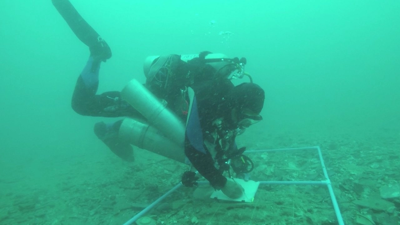 นักโบราณคดีใต้น้ำ