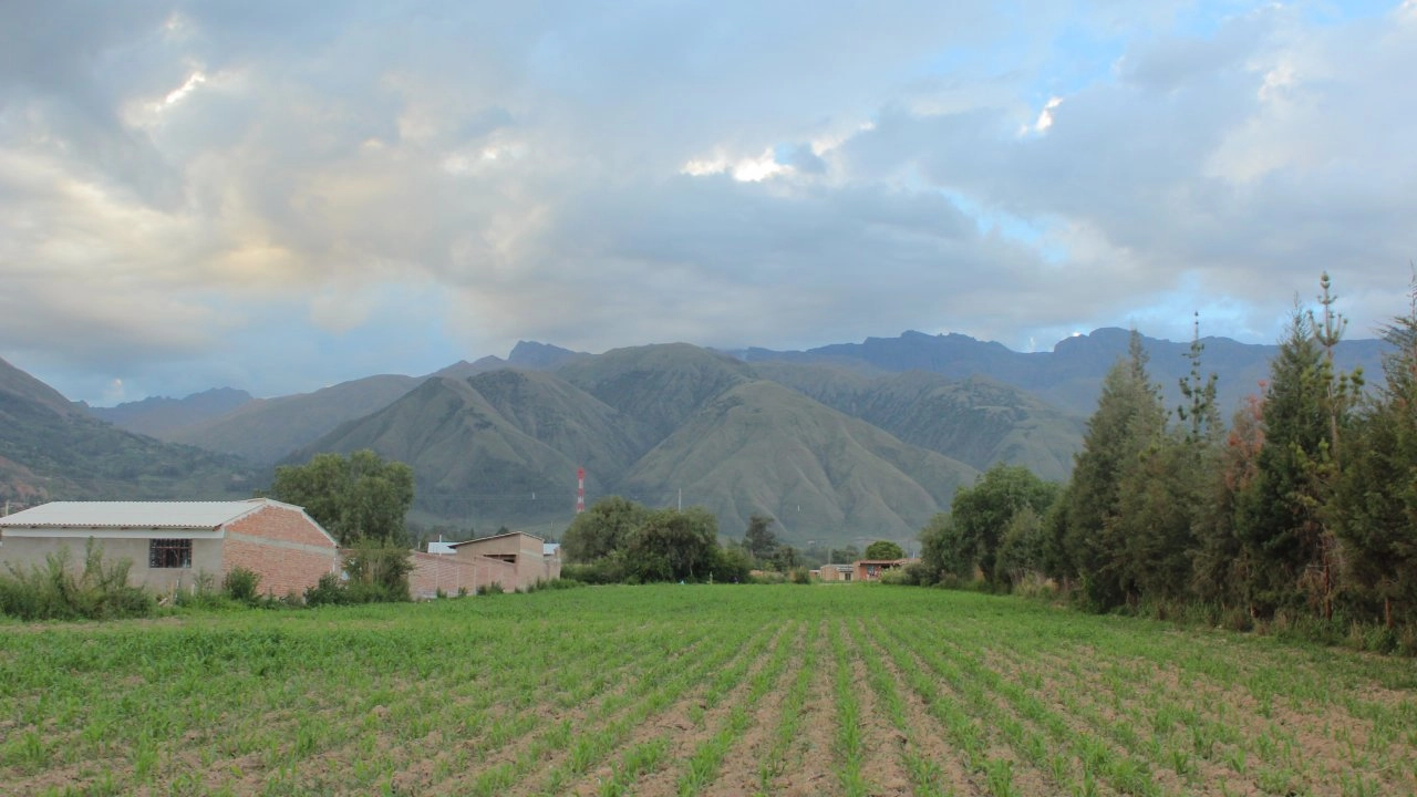 ทำไร่...ไถนา