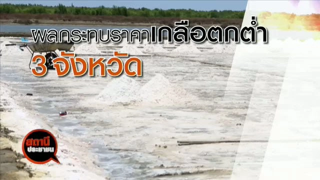 ผลกระทบราคาเกลือตกต่ำ 3 จังหวัดภาคกลาง