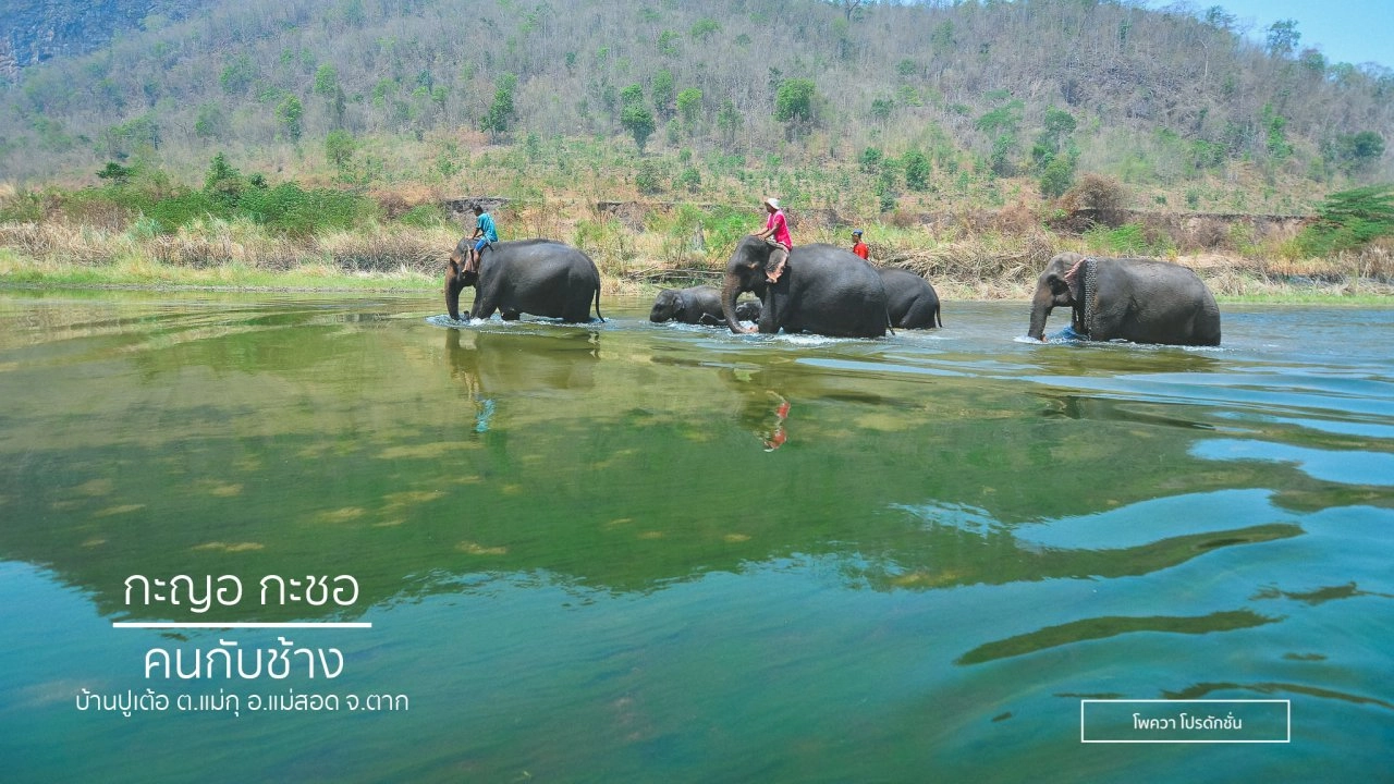 ​กะญอ กะซอ : คนเลี้ยงช้างแห่งบ้านปูเต้อ