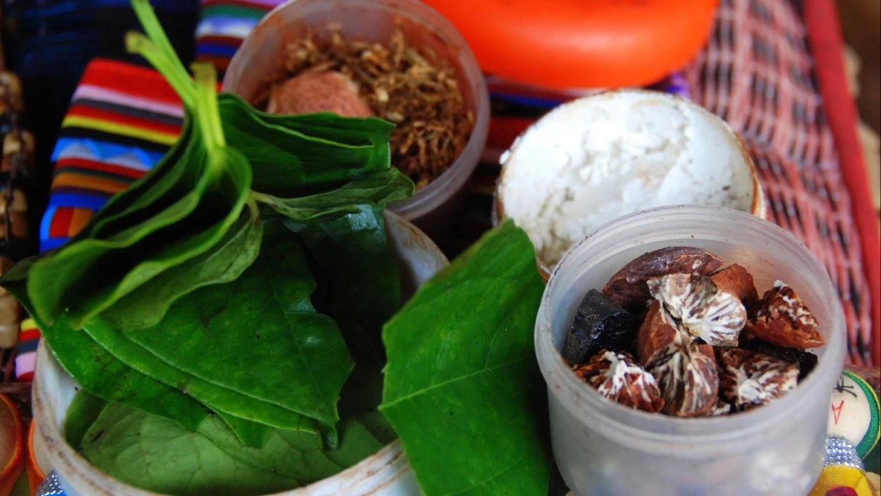 ท่องทั่วทวีป ตอน คู่มืออาหารชั้นดีและไม่ดี ฉบับที่ 3